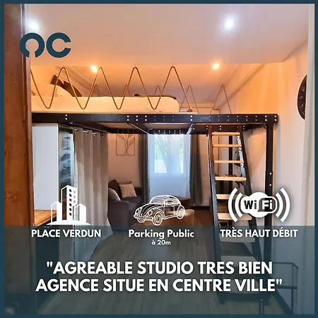 Le Verdun - Agreable En Centre Apartment *