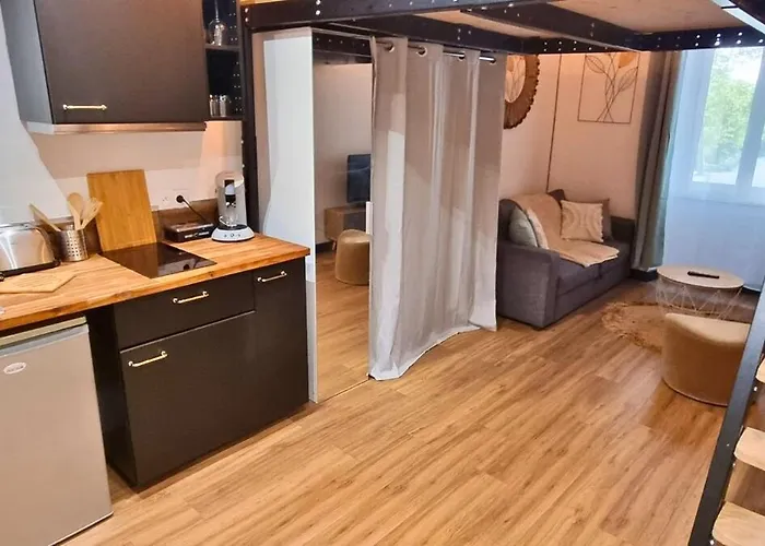 Le Verdun - Agreable En Centre Pau