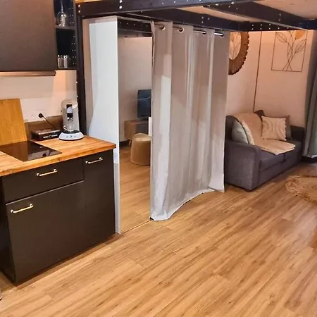 Le Verdun - Agreable En Centre Pau